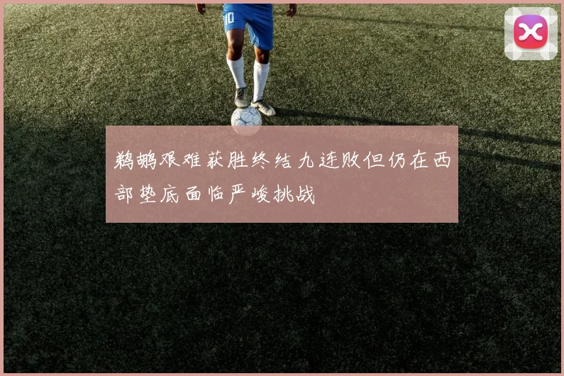 鹈鹕艰难获胜终结九连败但仍在西部垫底面临严峻挑战