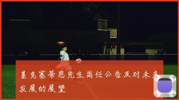 基克塞蒂恩先生离任公告及对未来发展的展望