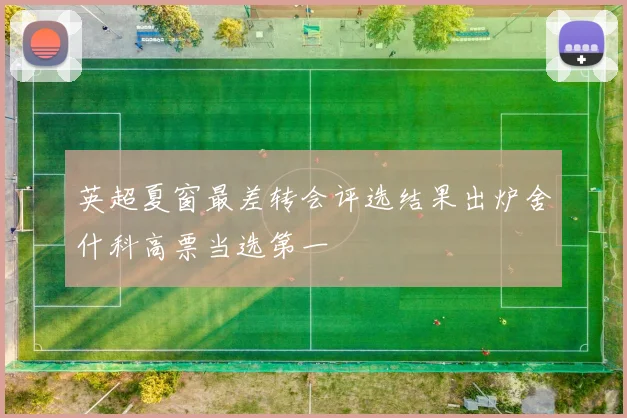 英超夏窗最差转会评选结果出炉舍什科高票当选第一