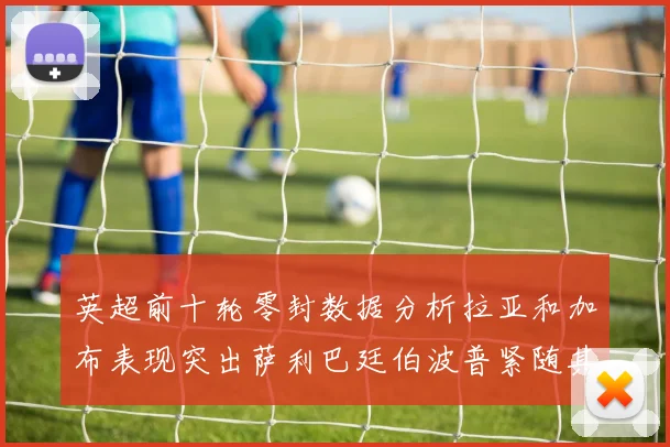 英超前十轮零封数据分析拉亚和加布表现突出萨利巴廷伯波普紧随其后